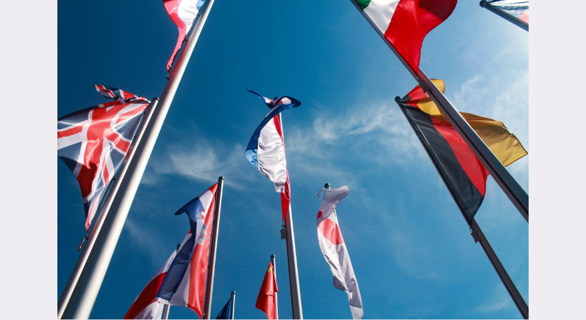 The Deprivation of Nationality in the Fight Against Terrorism flags