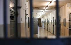 Insights into Unreported Crime Crucial for Prevention – German Federal Constitutional Court strengthens academic freedom