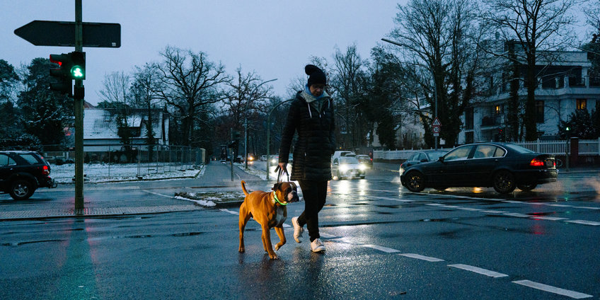 Crime Reduction Interventions in Public Space Auf einer Straßenkreuzung in der Dämmerung läuft ein junger Mann mit einem Hund (ein Boxer oder ein Kampfhund)